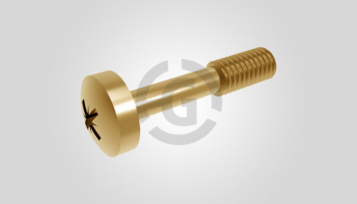 Captive Screw 10