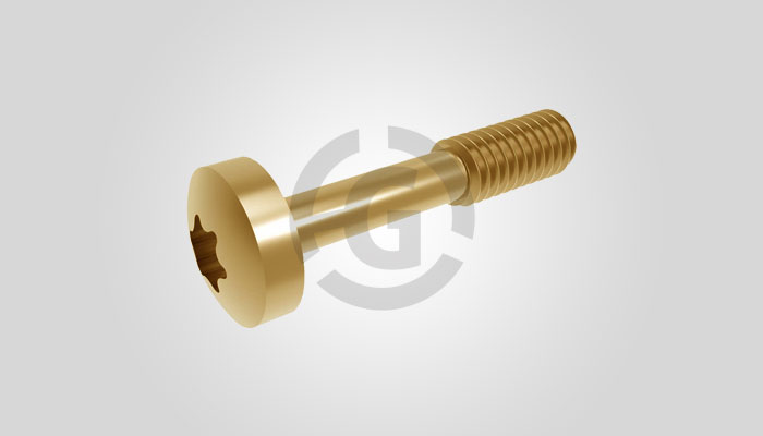 Captive Screw 12