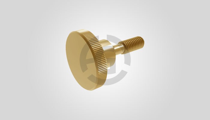 Captive Screw 14