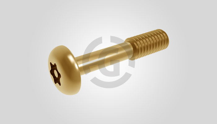 Captive Screw 22