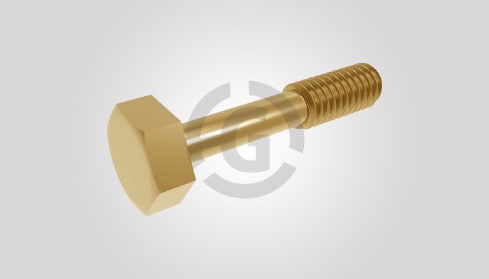 Captive Screw 24